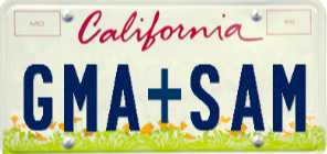 Example License Plate images