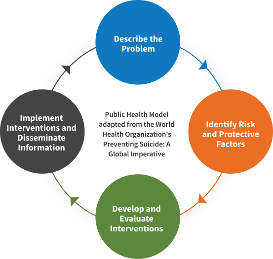 A four step circular graphic representing the Public Health Model (adapted from the World Health Organization's Preventing Suicide: A Global Perspective) is displayed starting with Step 1: Describing the Problem in the top position.  Step 1 leads to the next circle which represents Step 2: Identifying Risk and Protective Factors.  Step 2 leads to the third circle which represents Step 3: Developing and Evaluating Intervention.  Step 3 leads to the fourth circle which represents Step 4: Implementing Interventions and Disseminating information. Step 4 then leads back to Step 1, then 2, and so forth in a circular pattern.