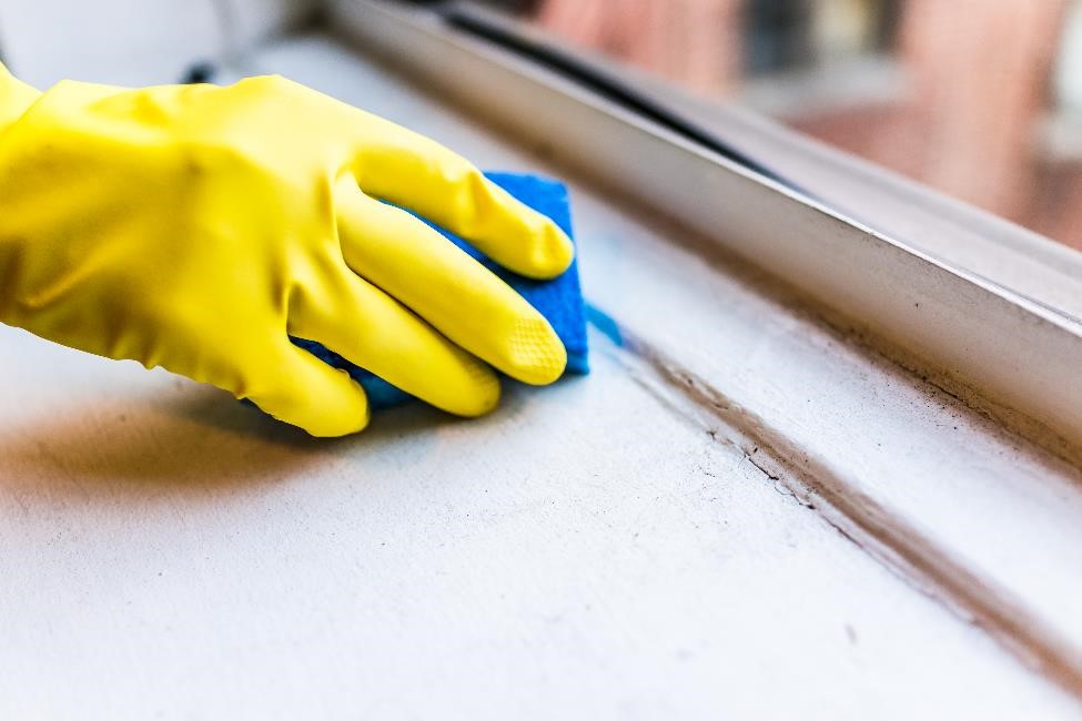 Gloved hand wiping a windowsill with a sponge