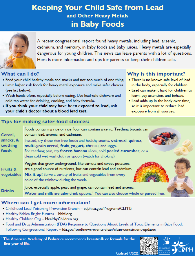 Screen shot of Baby Food Safety Flyer