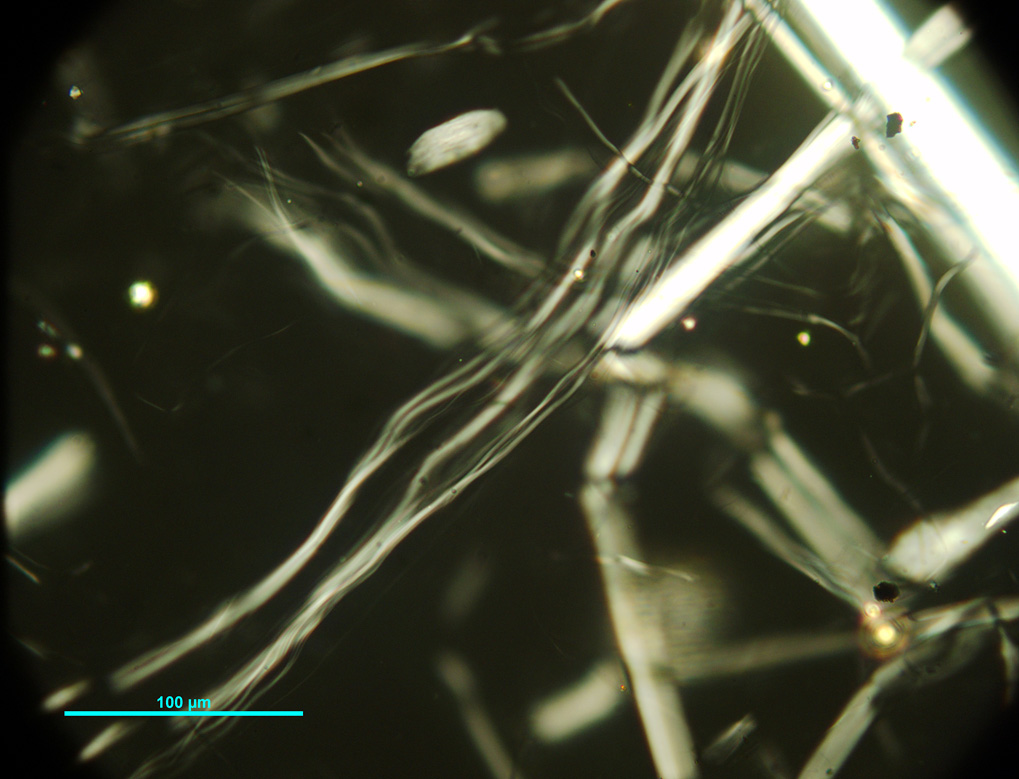 Chrysotile asbestos viewed in polarized light