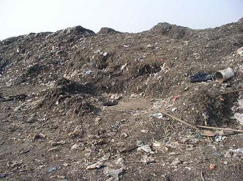 A small circular opening in the ground is surrounded by mounds of dirt, organic matter, and trash.