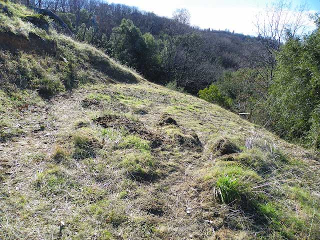 The scene where the incident took place, showing the uneven and steep hillside terrain.