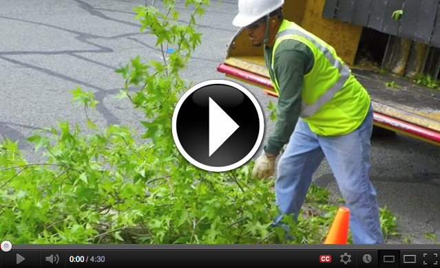 Preventing Wood Chipper Deaths Video