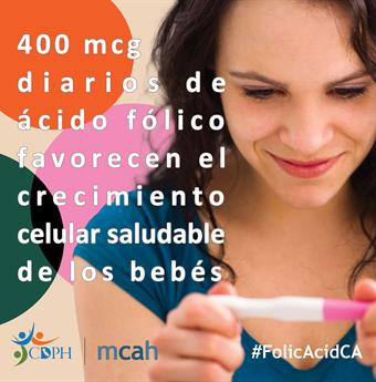 400 microgramos diarios de ácido fólico favorecen el crecimiento celular saludable de los bebés.