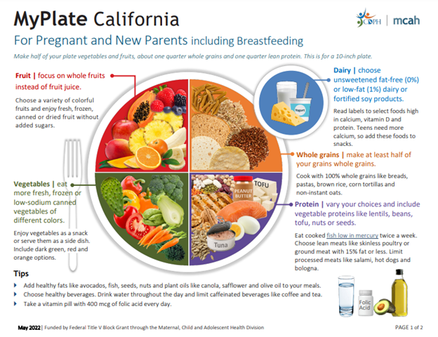 Preview of MyPlate California handout for pregnant or new parents