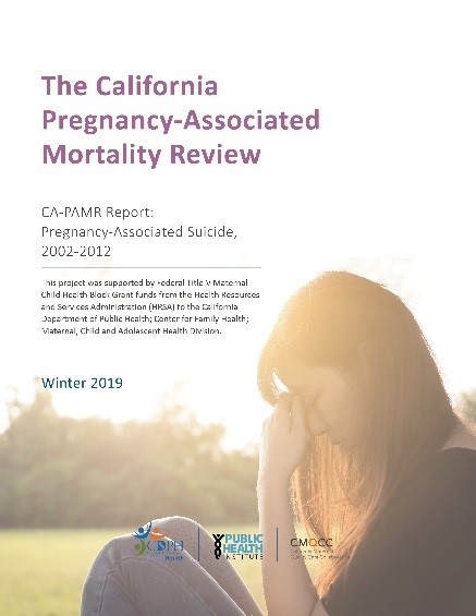 Statewide Review of Pregnancy-Associated Suicide, 2002-2012