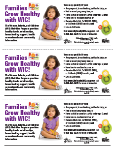 Families Grow Healthy 3-up flyer 4
