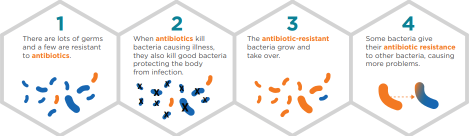 Some germs are ABX-resistant and these germs can  take over and grow to cause more problems