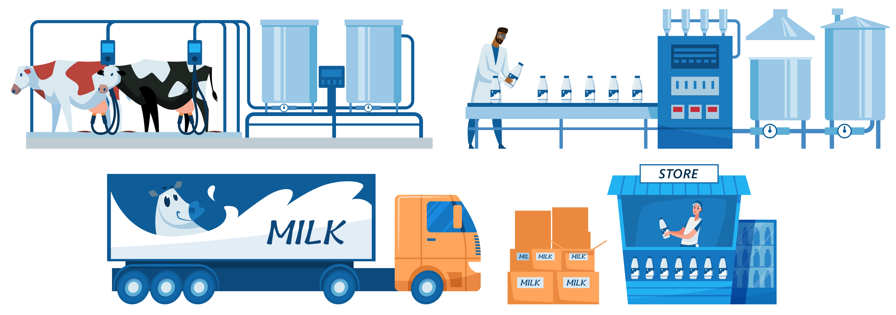 Illustration of the milk production process from milking to delivering pasteurized milk to the store