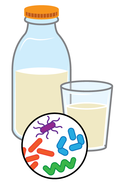 Illustration of germs in raw milk