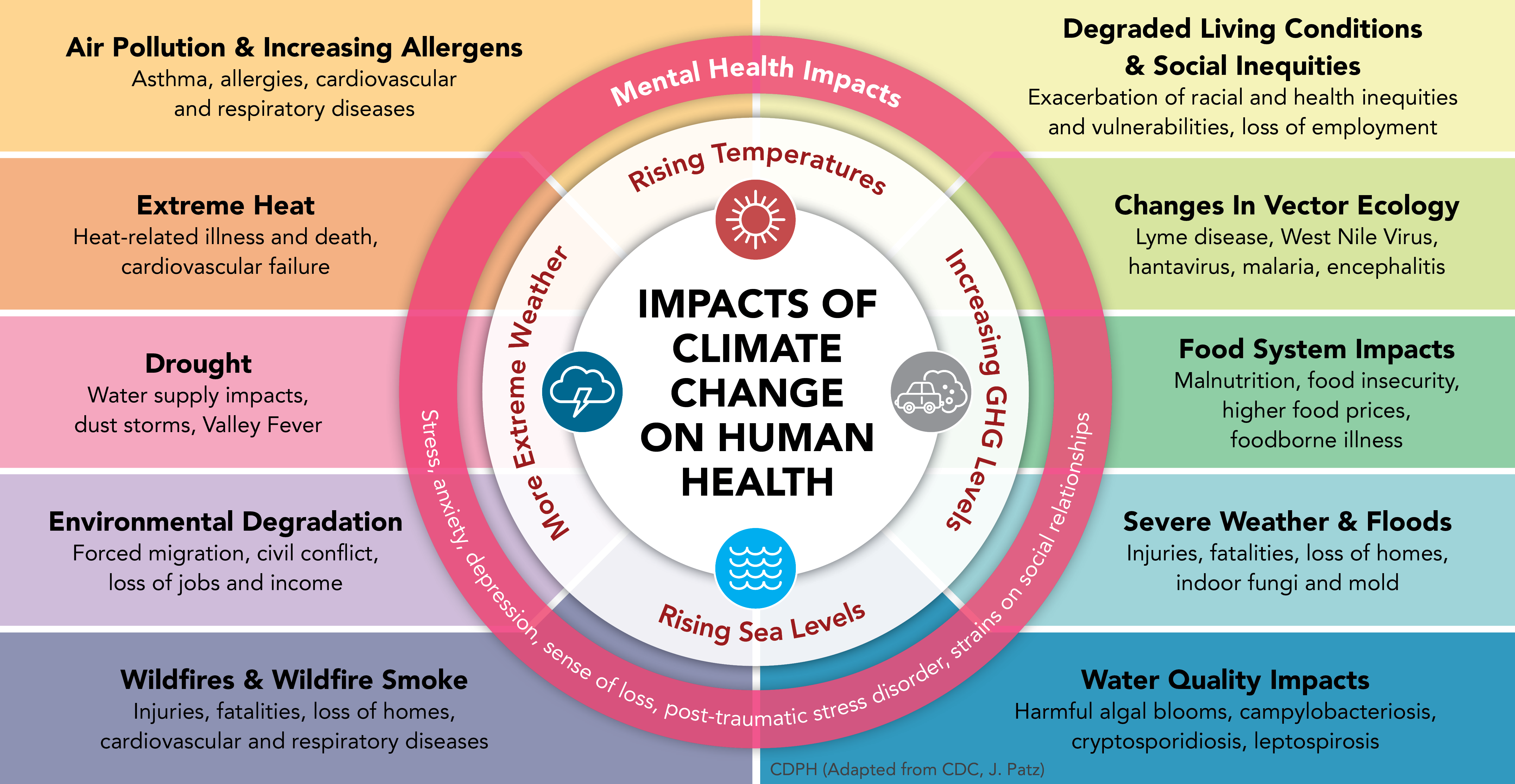 Diagram of the human health impacts of climate change.