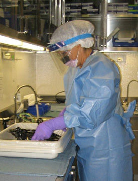 A worker wearing a gown, hair covering, full face covering, and gloves washes her hands in a sink. A worker wearing a gown, hair covering, full face covering, and gloves washes her hands in a sink.