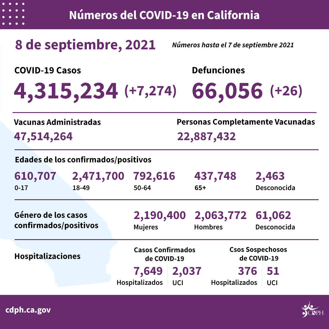 DailyNumbers9.8_SP