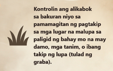 Kontrolin ang alikabok sa bakuran niyo sa pamamagitan ng pagtakip sa mga lugar na malupa sa paligid ng bahay mo na may damo, m